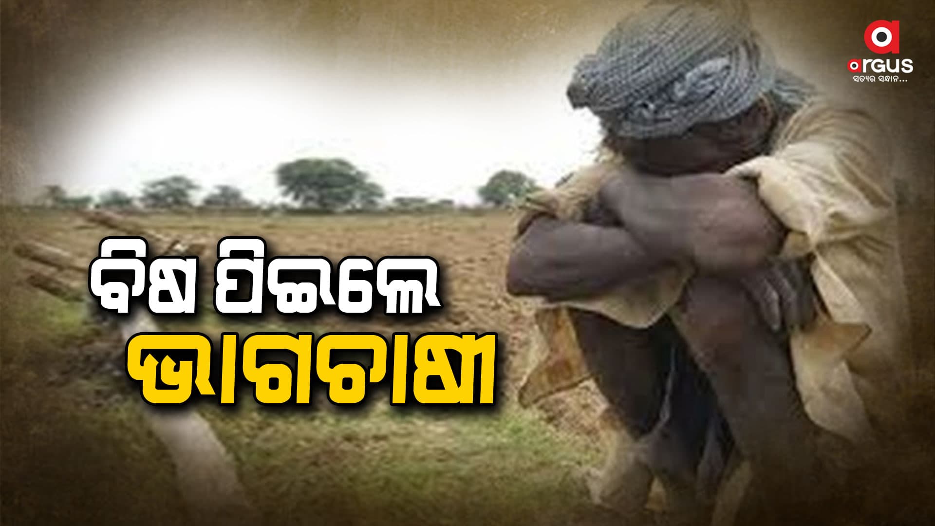 ହାତୀ ଧାନ ଫସଲ ନଷ୍ଟ କରିବାରୁ ବିଷ ପିଇଲେ ଚାଷୀ
