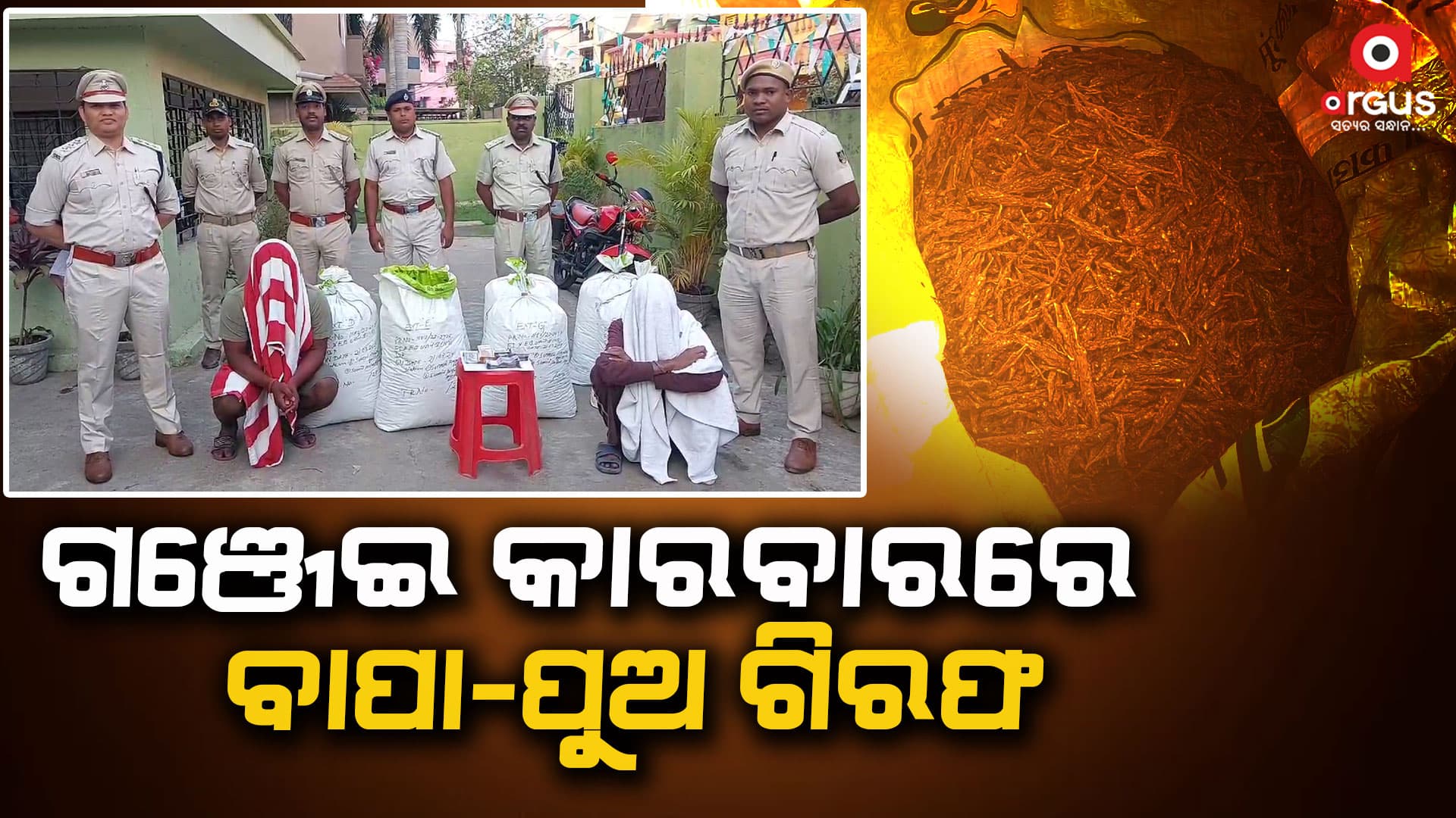 କୋଟିପତି ହେବାକୁ ବାପା-ପୁଅ ବିକୁଥିଲେ ଗଞ୍ଜେଇ