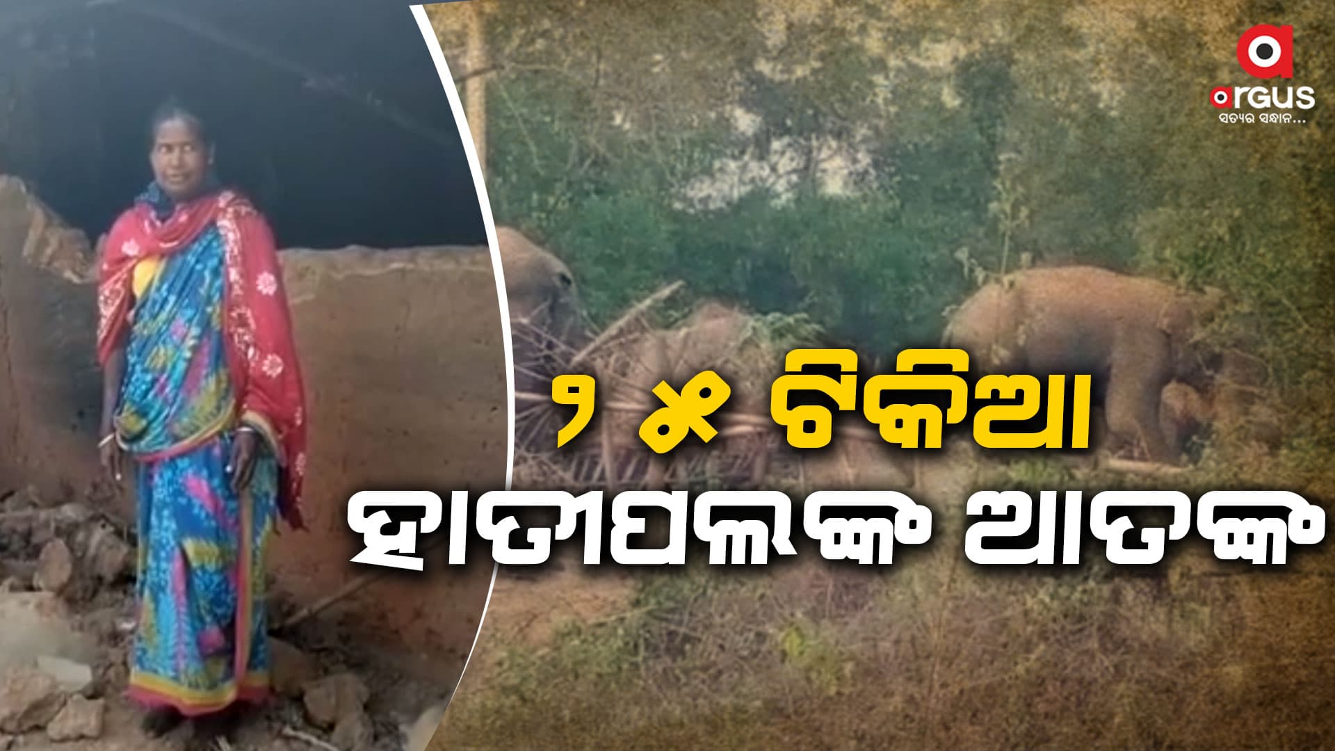 ୨୫ ଟିକିଆ ହାତୀପଲ ଭାଙ୍ଗିଲେ ଘର: ବନ ବିଭାଗ ସହ ଗ୍ରାମବାସୀ ମୁହାଁମୁହିଁ