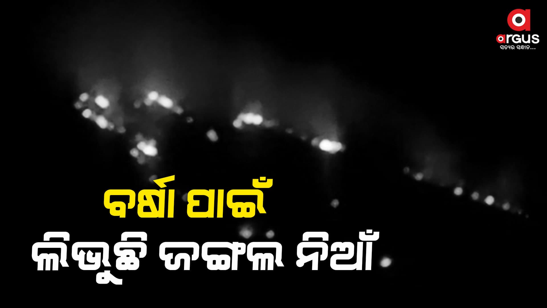 ବର୍ଷା କମେଇଛି ଜଙ୍ଗଲ ନିଆଁ