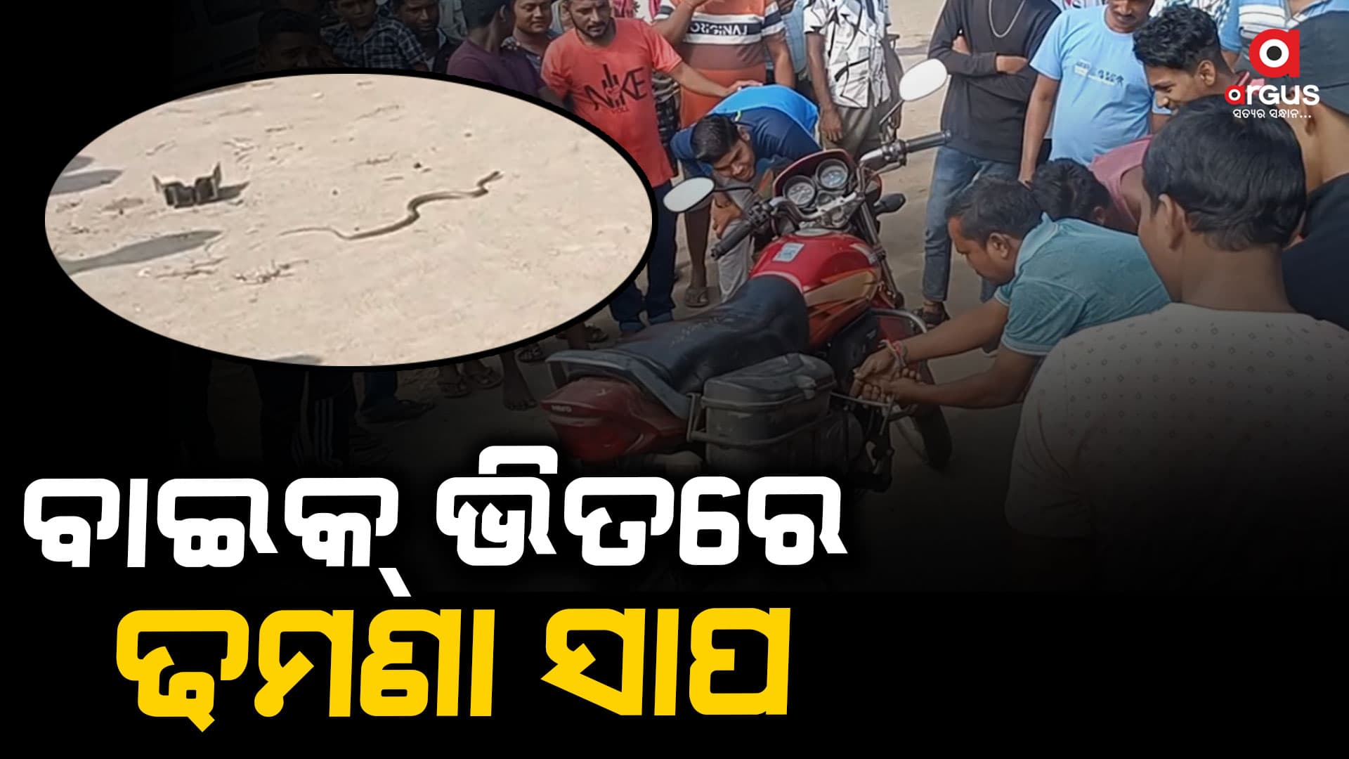 ବାଇକ୍ ଭିତରକୁ ପଶିଗଲା ଢମଣା ସାପ