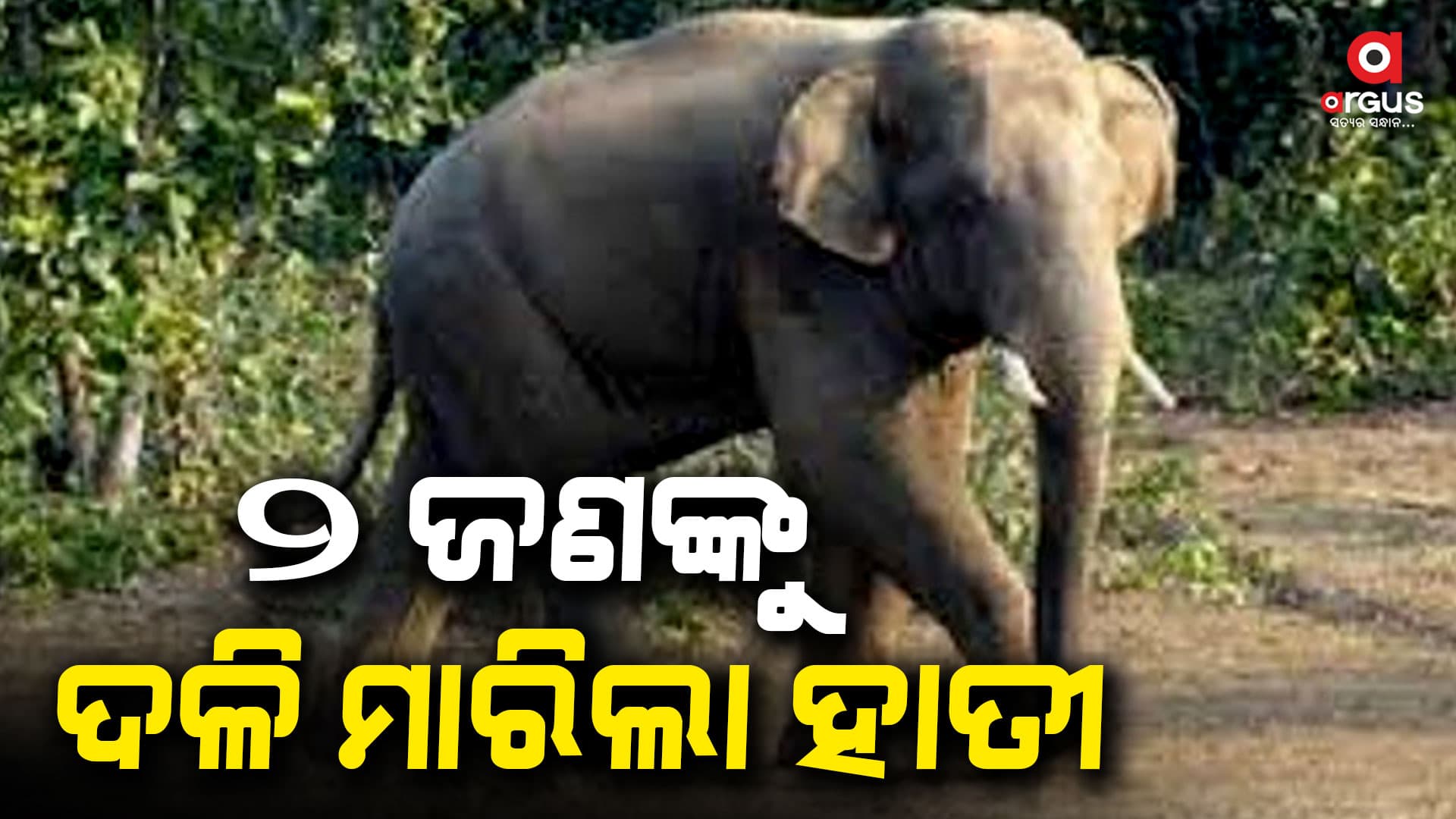 ହାତୀ ଆତଙ୍କ, ୨ ମୃତ
