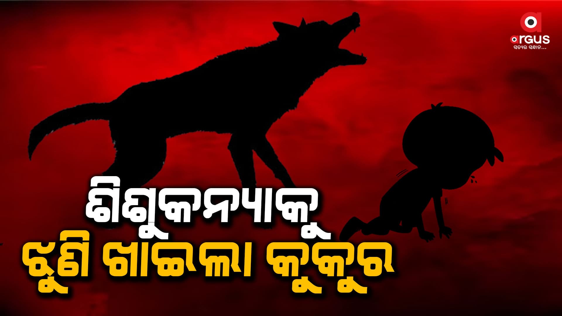 ରାସ୍ତାକଡ଼ରେ ପଡ଼ିଥିବା ନବଜାତ ଶିଶୁକୁ ବୁଲା କୁକୁର ଝୁଣିଝୁଣି ଖାଇଲା