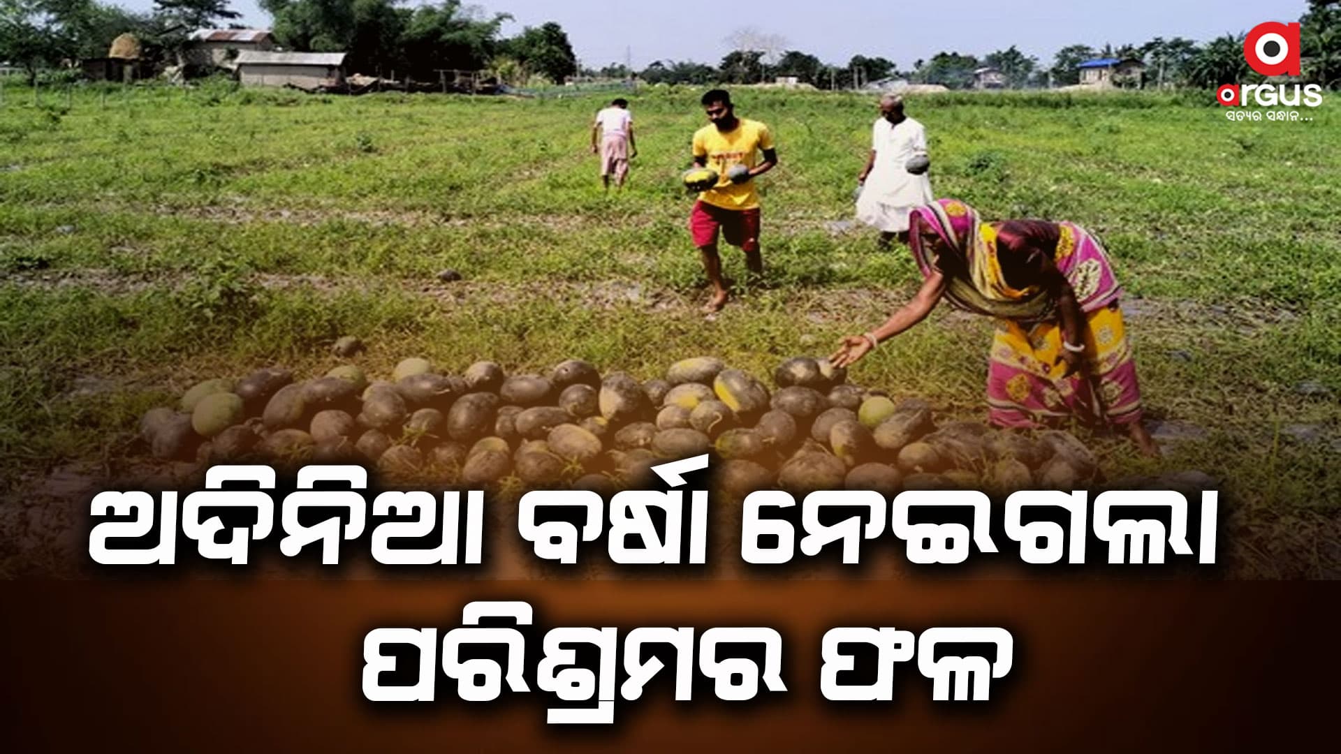 ଅଦିନିଆ ବର୍ଷା ନେଇଗଲା ପରିଶ୍ରମର ଫଳ