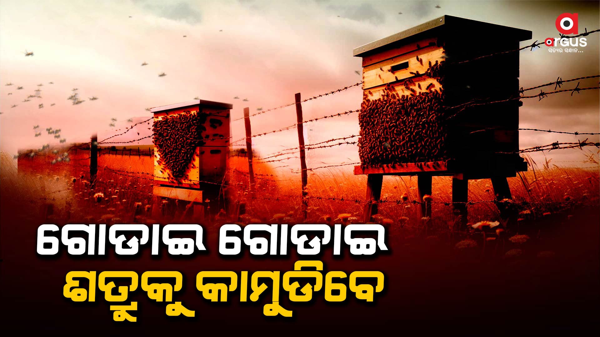 ସୁରକ୍ଷା ବ୍ୟବସ୍ଥାରେ ସାମିଲ ‘ମିଶନ ହନି’