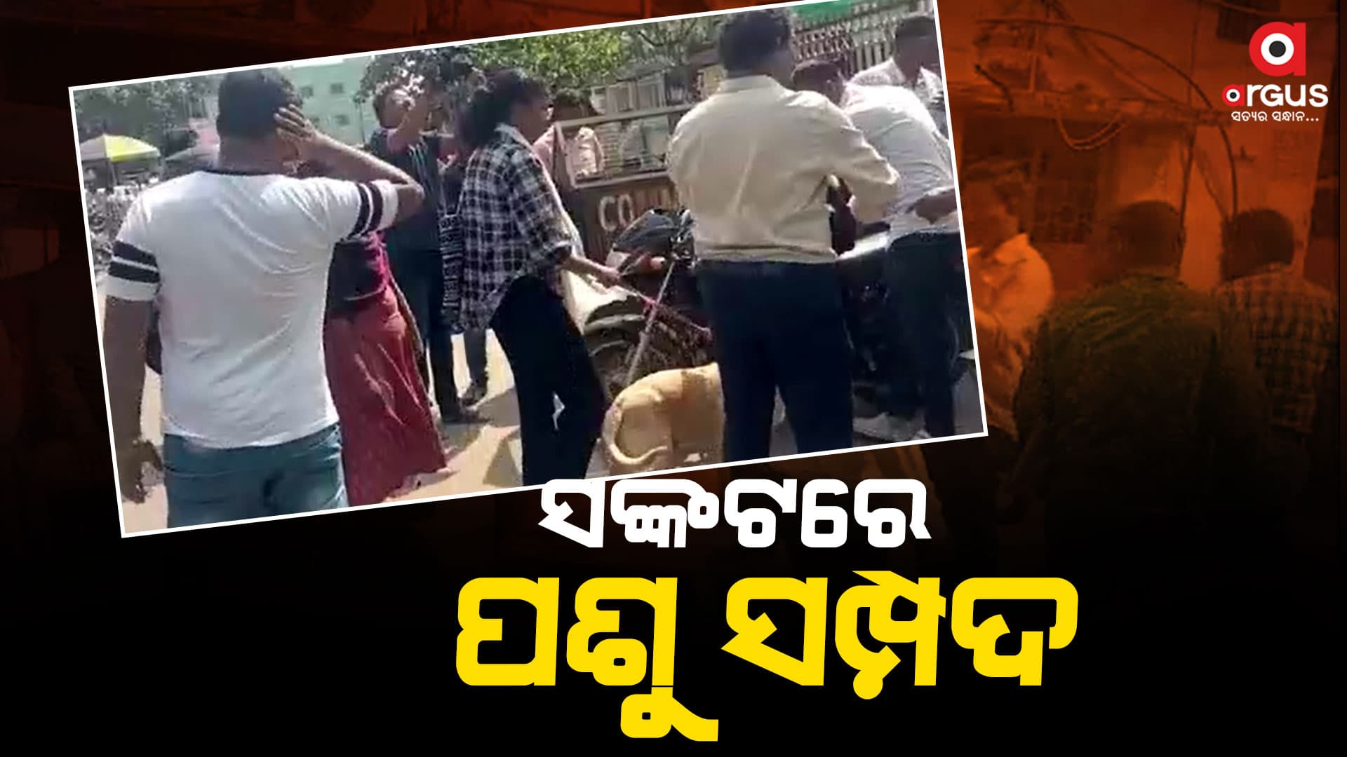 ନିଜର ଗୃହପାଳିତ ପଶୁଙ୍କୁ ଧରି କଟକ ଜିଲ୍ଲାପାଳଙ୍କ ଅଫିସ ଆଗରେ ରୁଣ୍ଡ ହେଲେ ପଶୁପ୍ରେମୀ