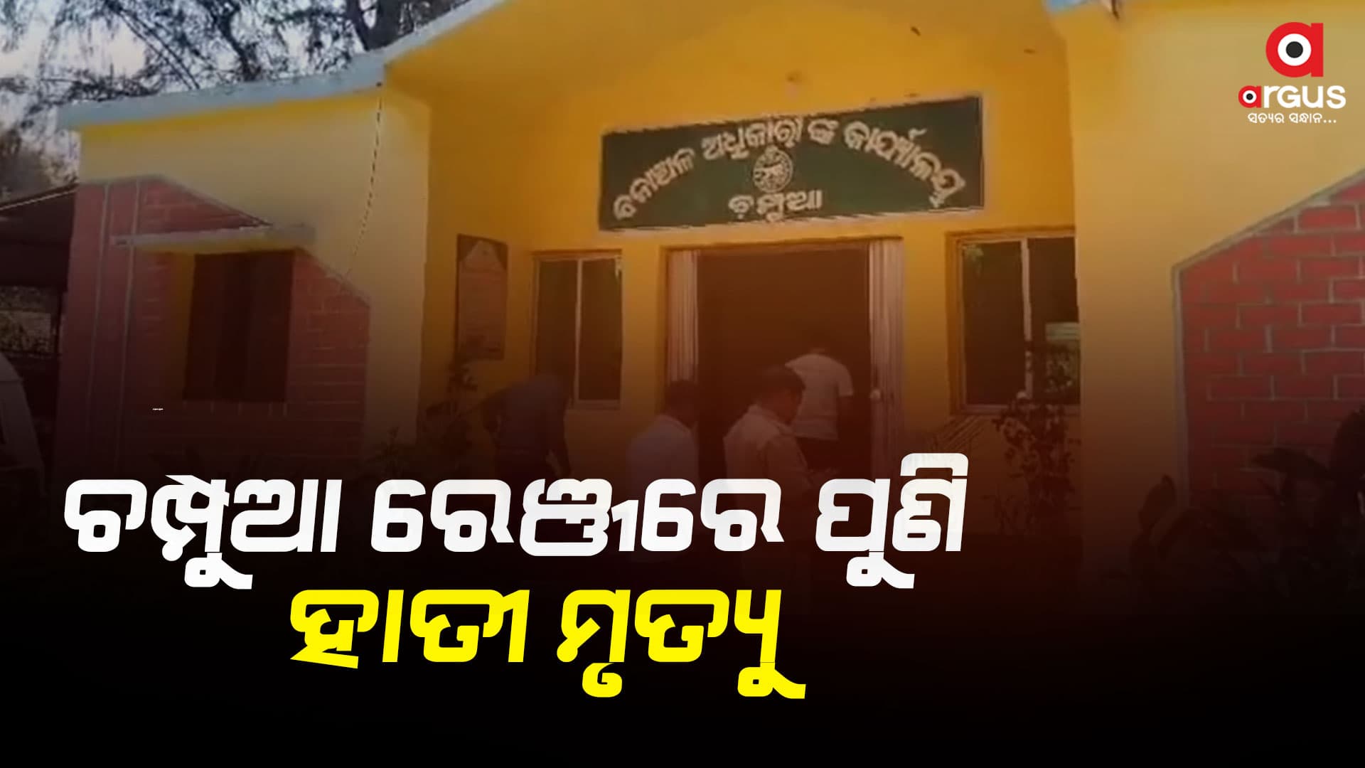 ହାତୀ ମୃତ୍ୟୁ ପାଇଁ ଦାୟୀ କିଏ ?