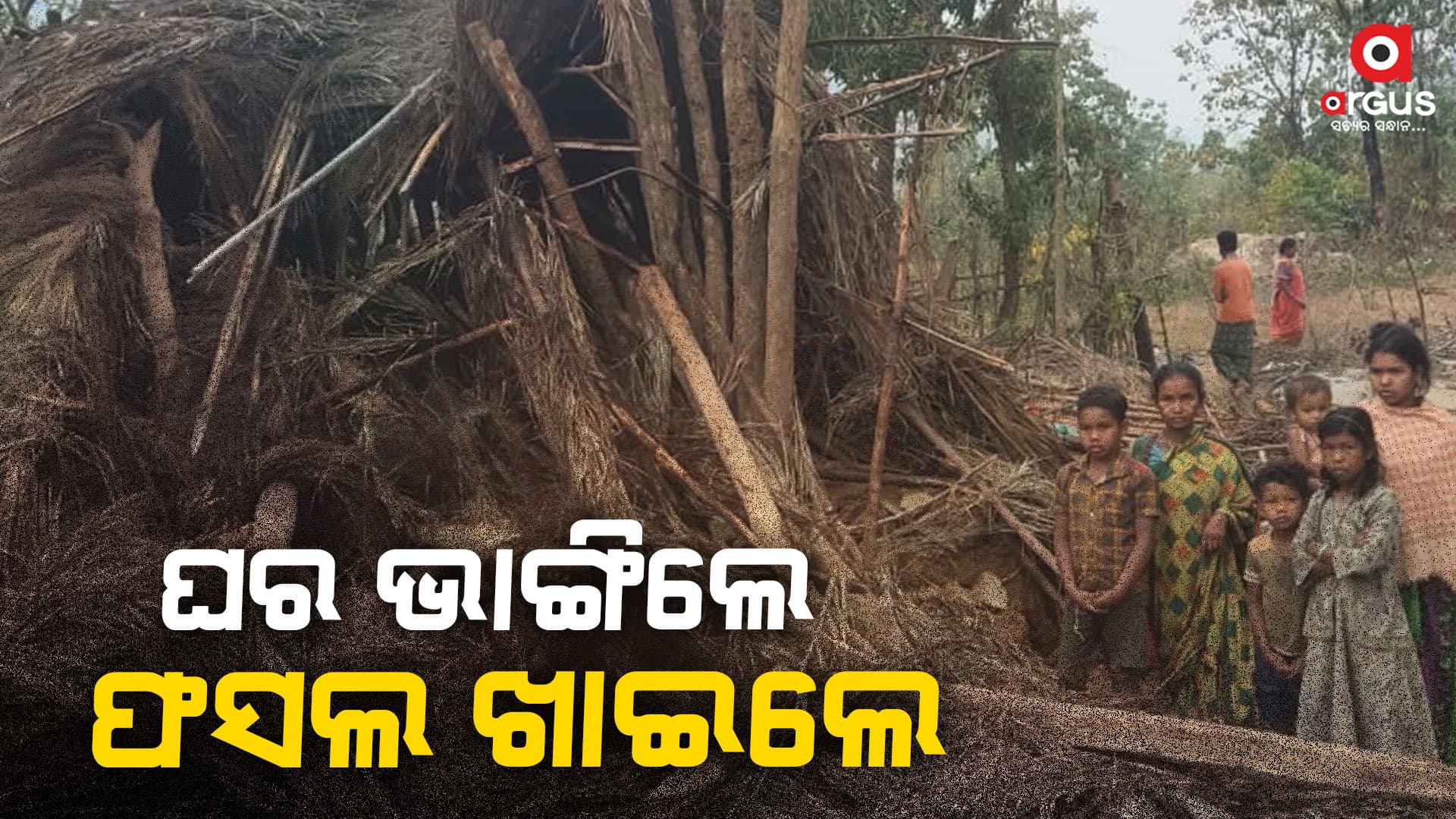 ୨୫ଟିକିଆ ହତୀପଲଙ୍କ ଉପଦ୍ରବ