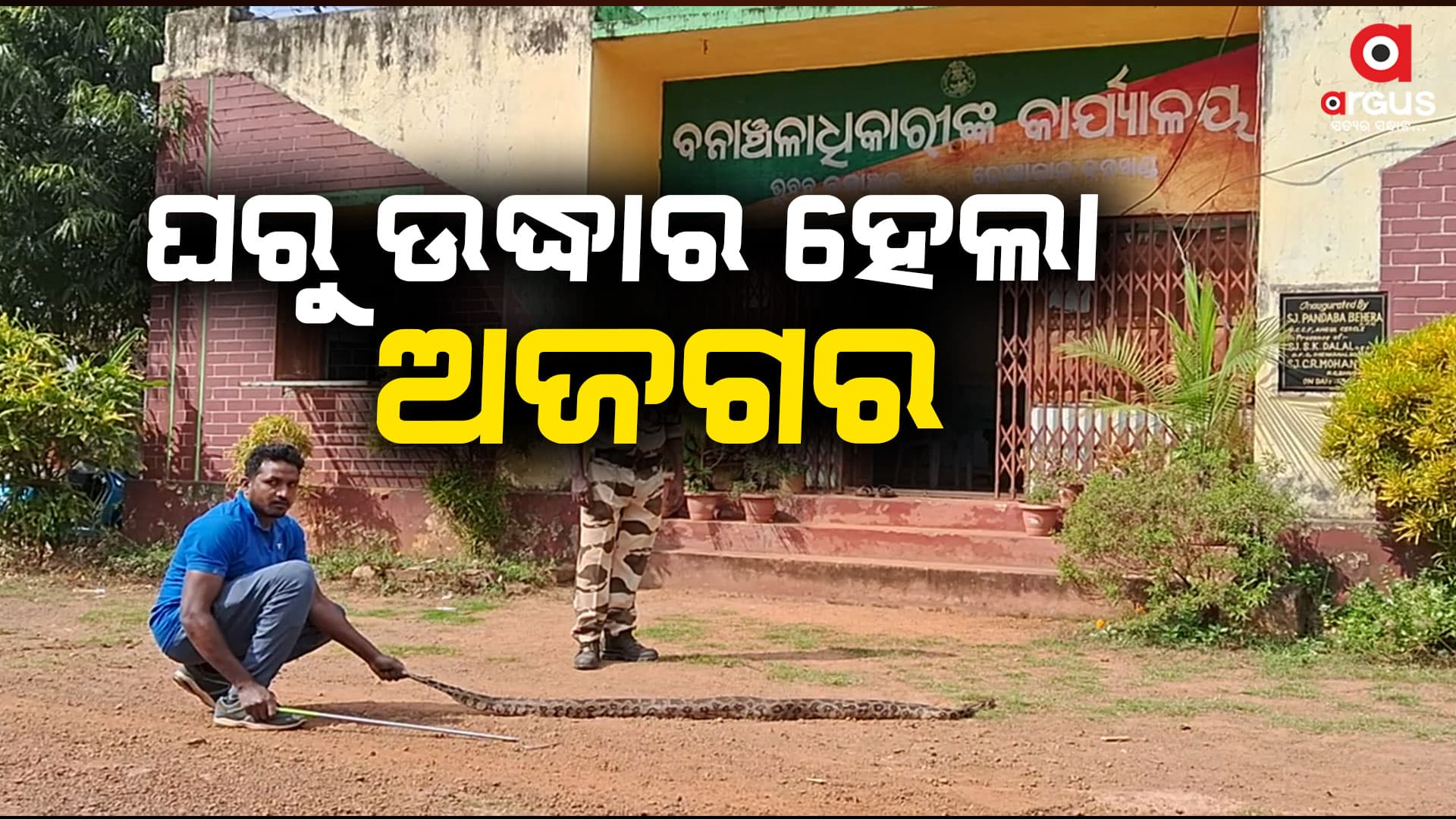 ଘରୁ ୮ଫୁଟର ଅଜଗର ଉଦ୍ଧାର