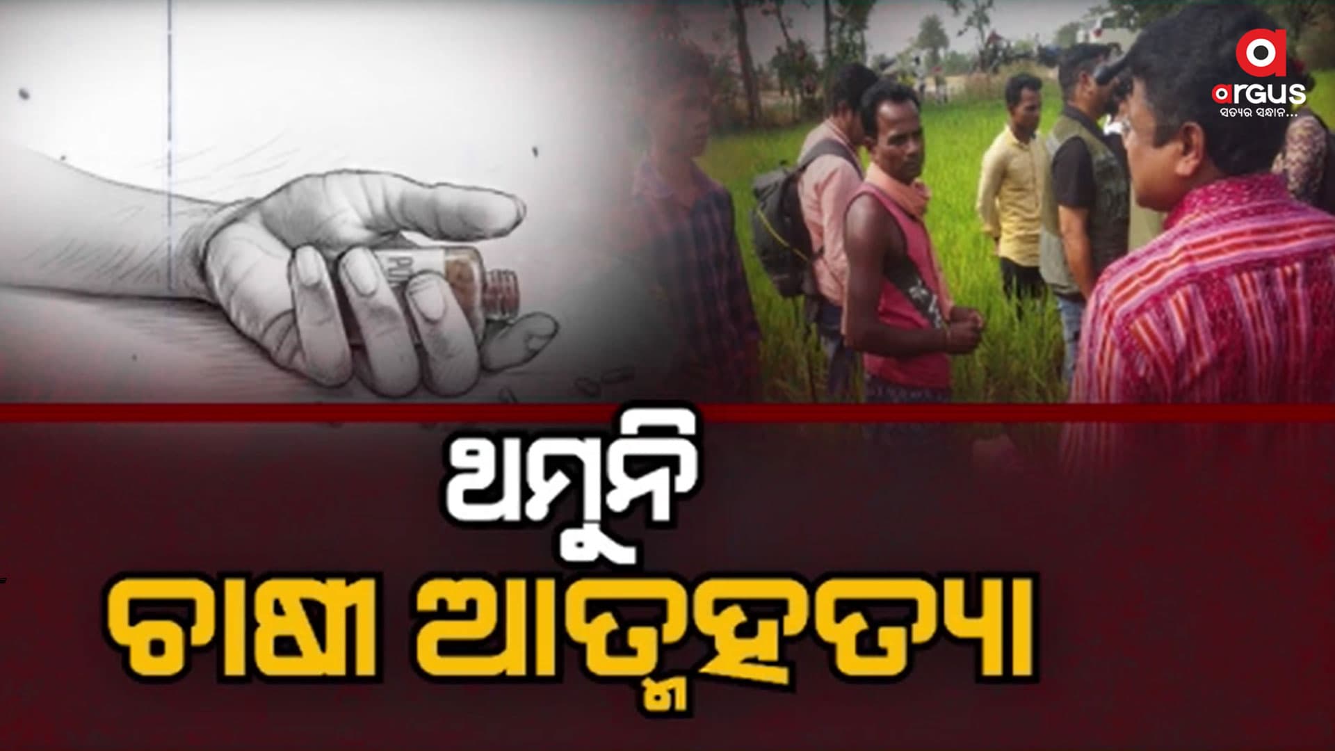 ଚାଷୀଙ୍କ ପାଇଁ ଦୁର୍ଦ୍ଦିନ, ନକଲି କୀଟନାଶକରେ ଜଳିଯାଉଛି ଧାନ ଗଛ