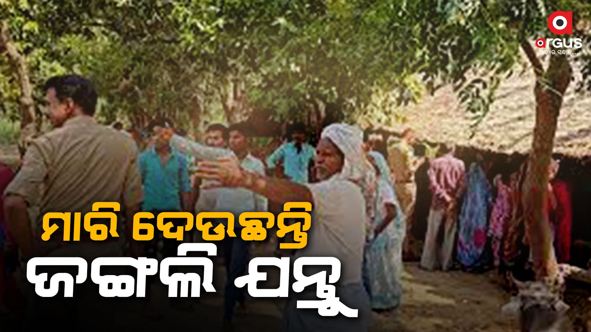 ବାଘ- ଭାଲୁଙ୍କ ଆକ୍ରମଣରେ ଲୋକେ ଆତଙ୍କିତ