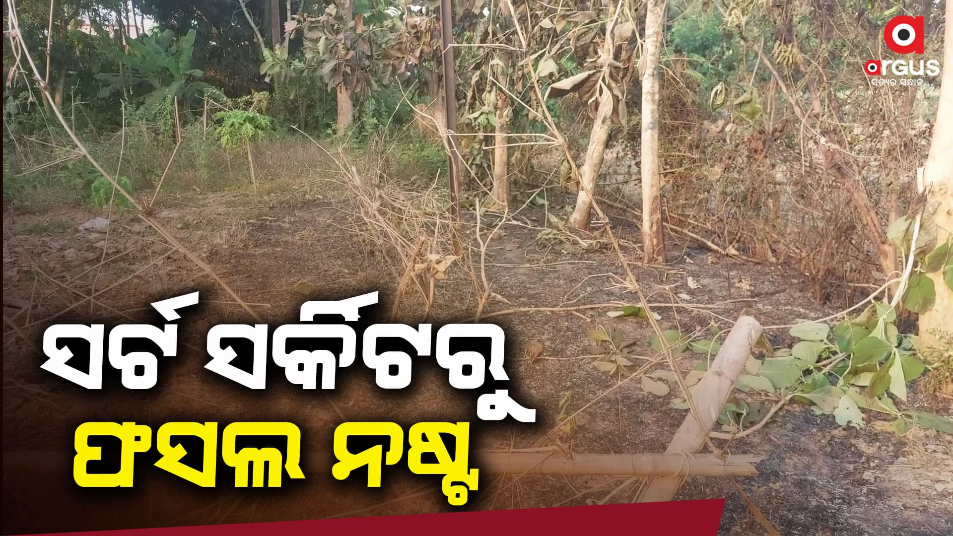 ମାନବାଧିକାର କମିଶନଙ୍କ ନିର୍ଦ୍ଦେଶ ମାନୁନାହାନ୍ତି ଟାଟା ପାୱାର ଅଧିକାରୀ