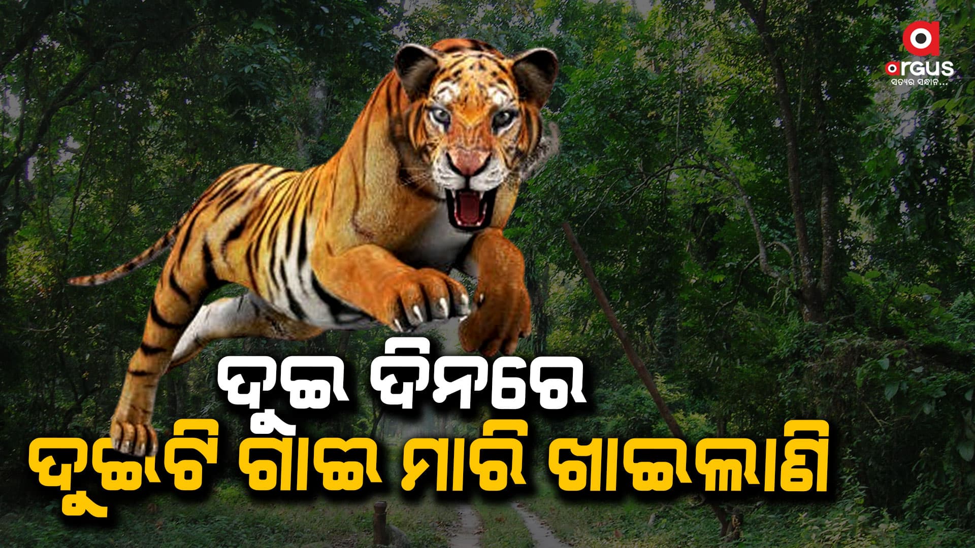 ପୁଣି ଗଜପତି ମୁହାଁ ମହାବଳ ବାଘ