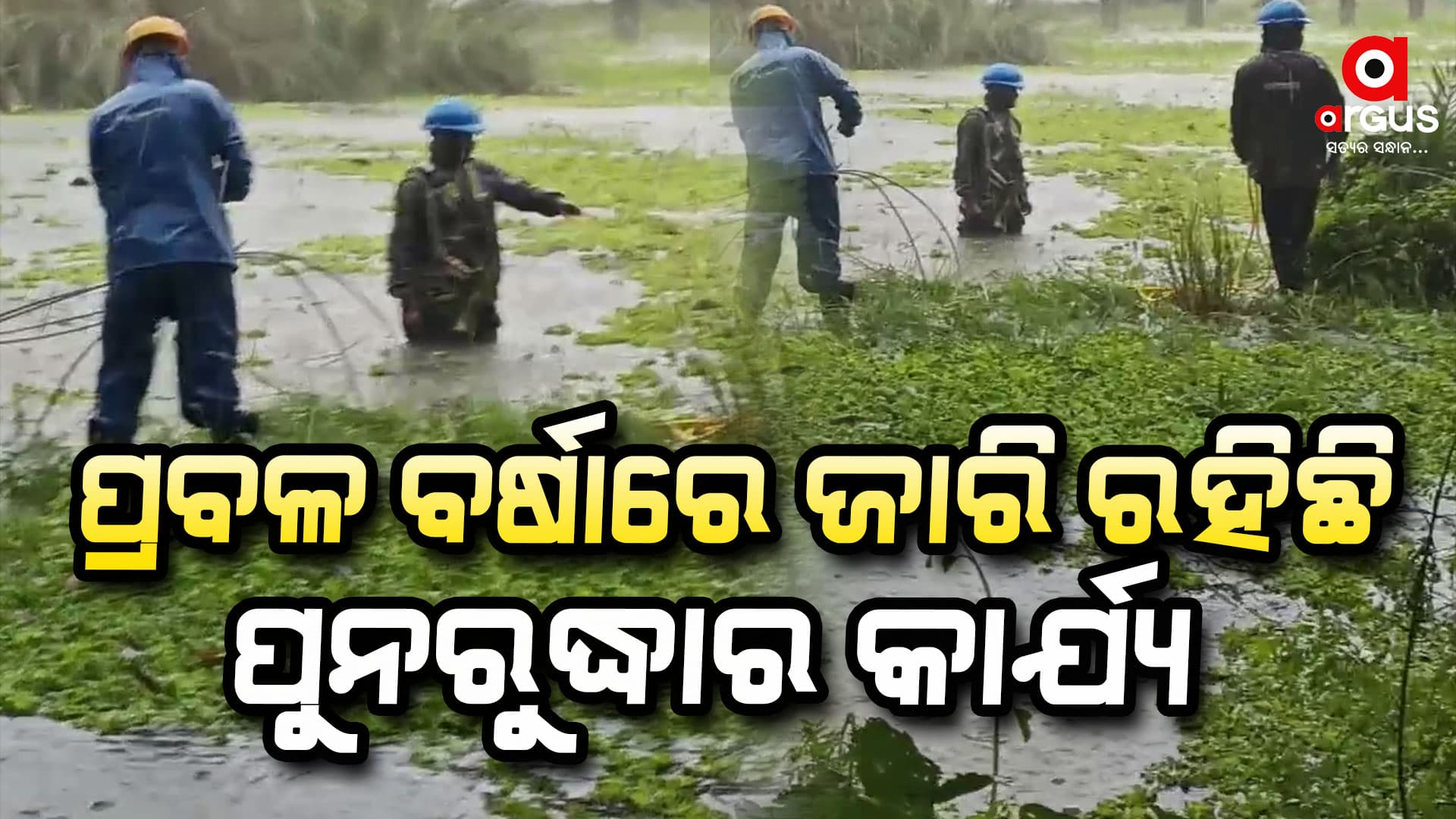 `ଦାନା’ ବାତ୍ୟାରେ ବ୍ୟାପକ ପ୍ରଭାବିତ ହୋଇଛି ବିଦ୍ୟୁତ ସେବା