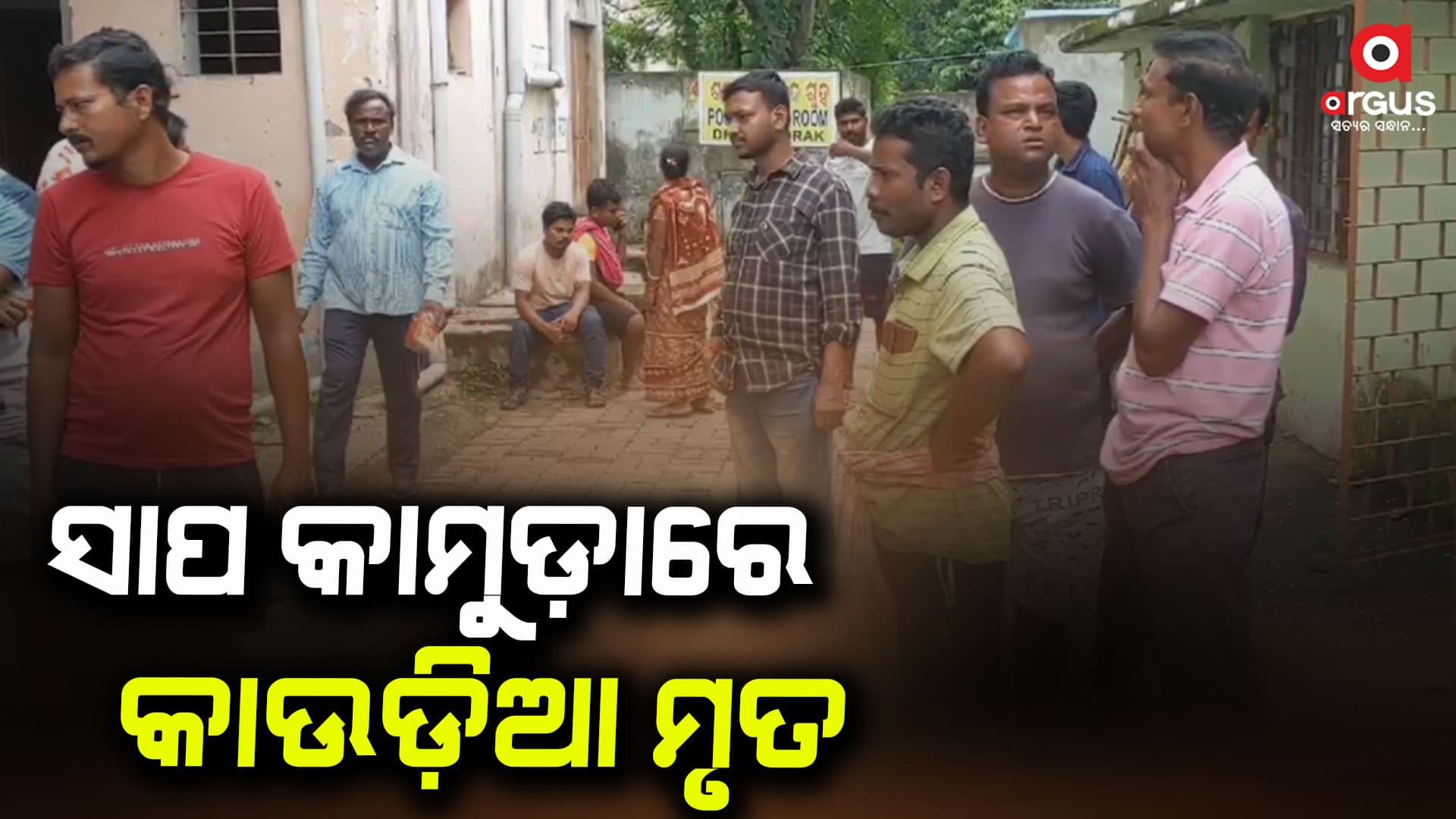 ସାପ କାମୁଡ଼ାରେ ଚାଲିଗଲା ଜୀବନ