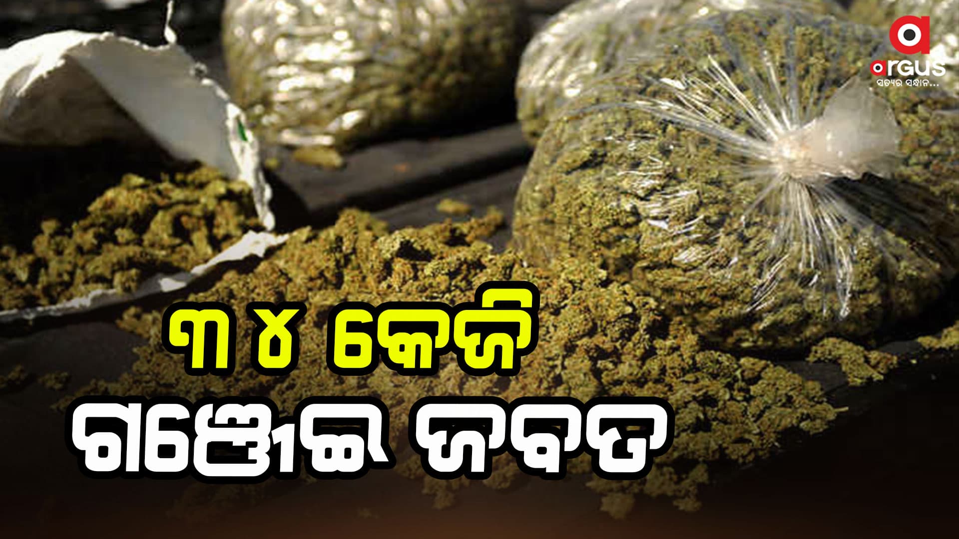 34 କେଜି ଗଂଜେଇ ଜବତ, ଦୁଇ ଗିରଫ