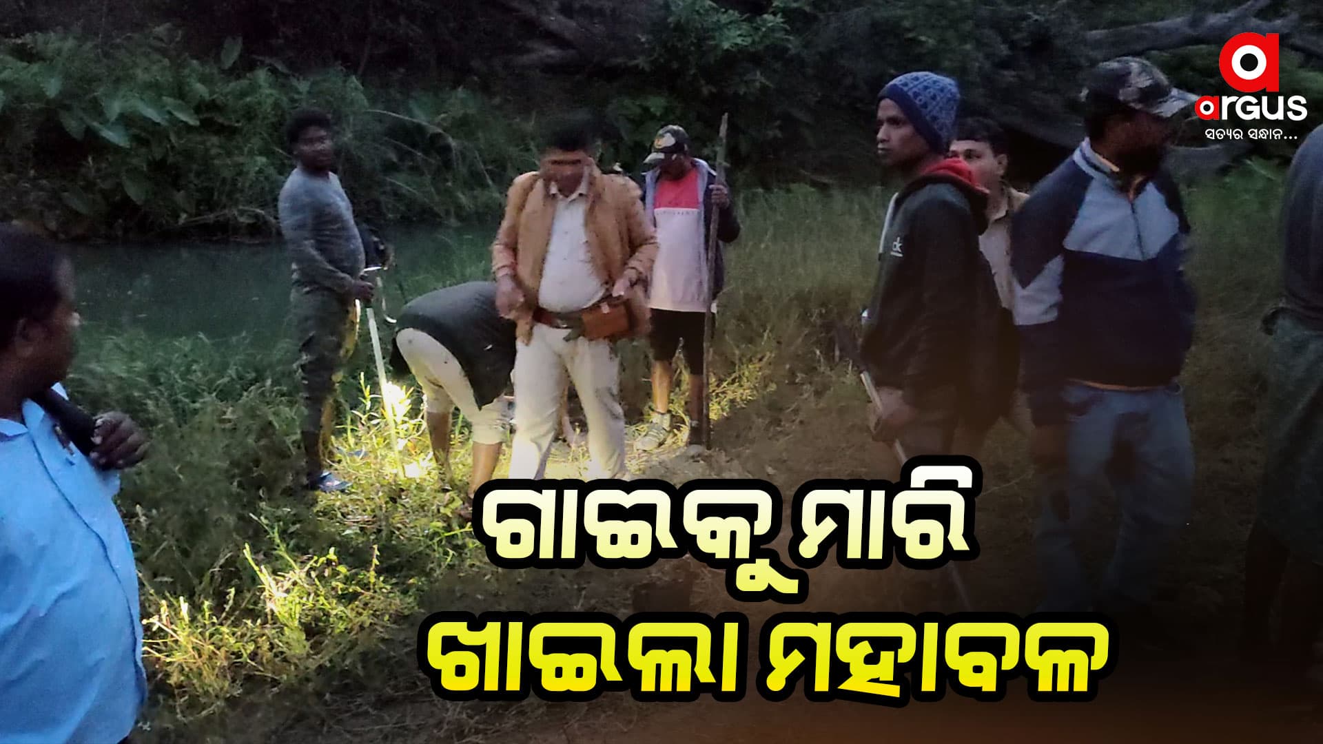 ଲଖାରି ଅଭୟାରଣ୍ୟକୁ ପୁଣି ଫେରିଛି ମହାବଳ, ଗାଁରେ କୋକୁଆ ଭୟ