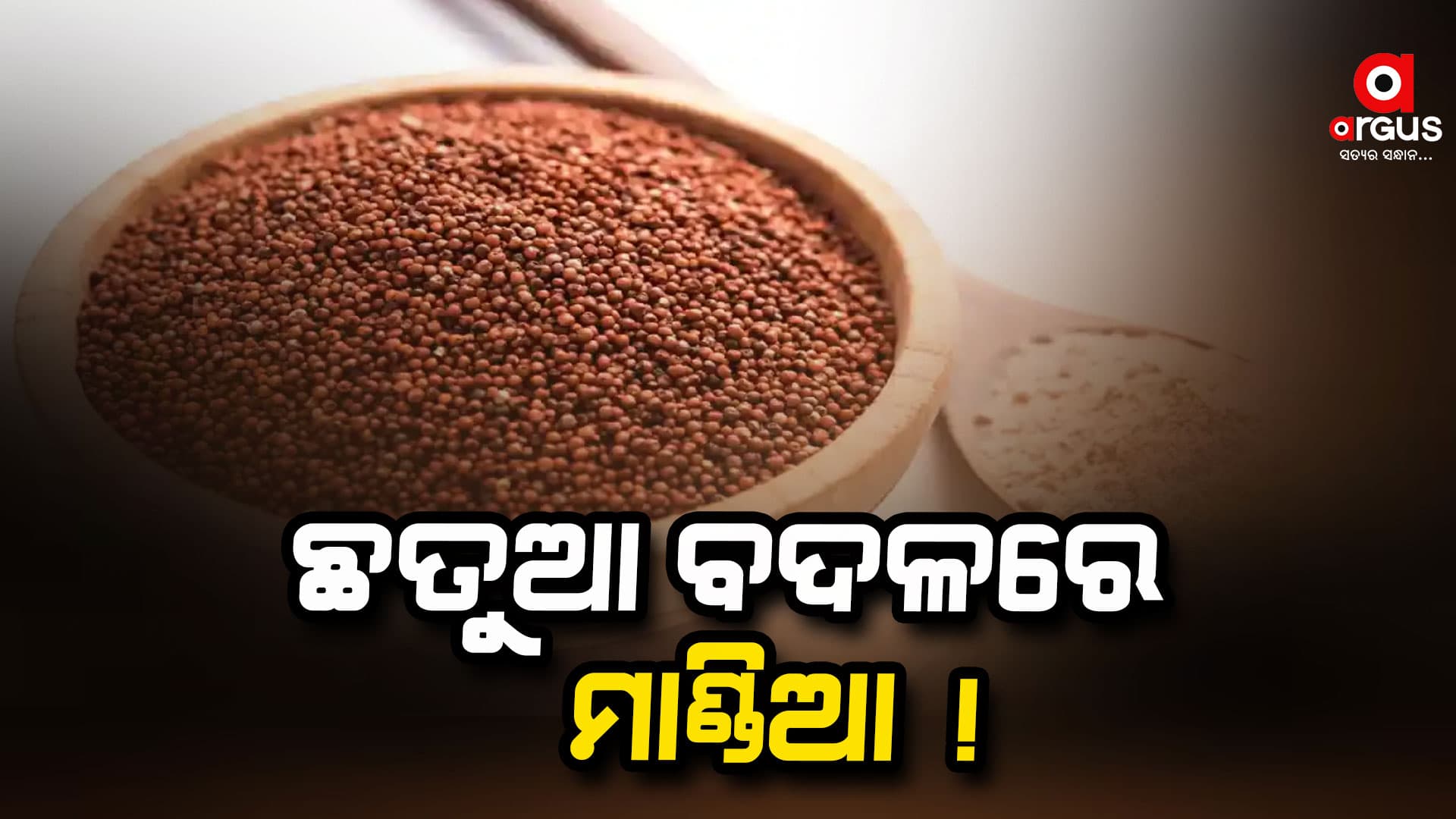 ଖରାପ ଛତୁଆକୁ ନେଇ ବିଭାଗ ନିନ୍ଦା ସହୁଛି- ପ୍ରଭାତୀ ପରିଡା