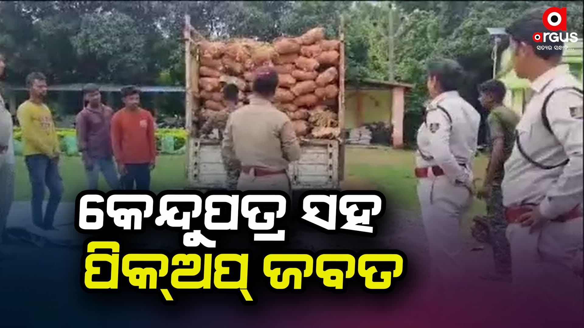 ଚୋରା ଚାଲାଣ ବେଳେ କେନ୍ଦୁପତ୍ର ସହ ପିକଅପ ଜବତ