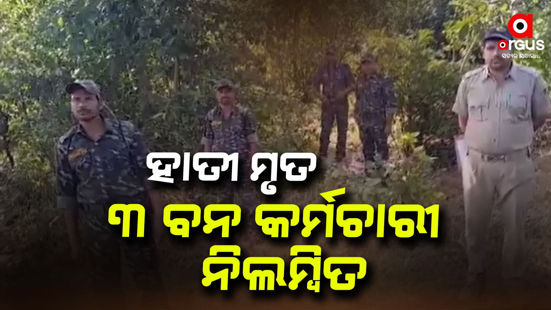 ବିଦ୍ୟୁତ୍ ଆଘାତରେ ୩ ହାତୀ ମୃତ୍ୟୁ ଘଟଣା , ନିଲମ୍ବିତ ହେଲେ ୩ ବନ କର୍ମଚାରୀ