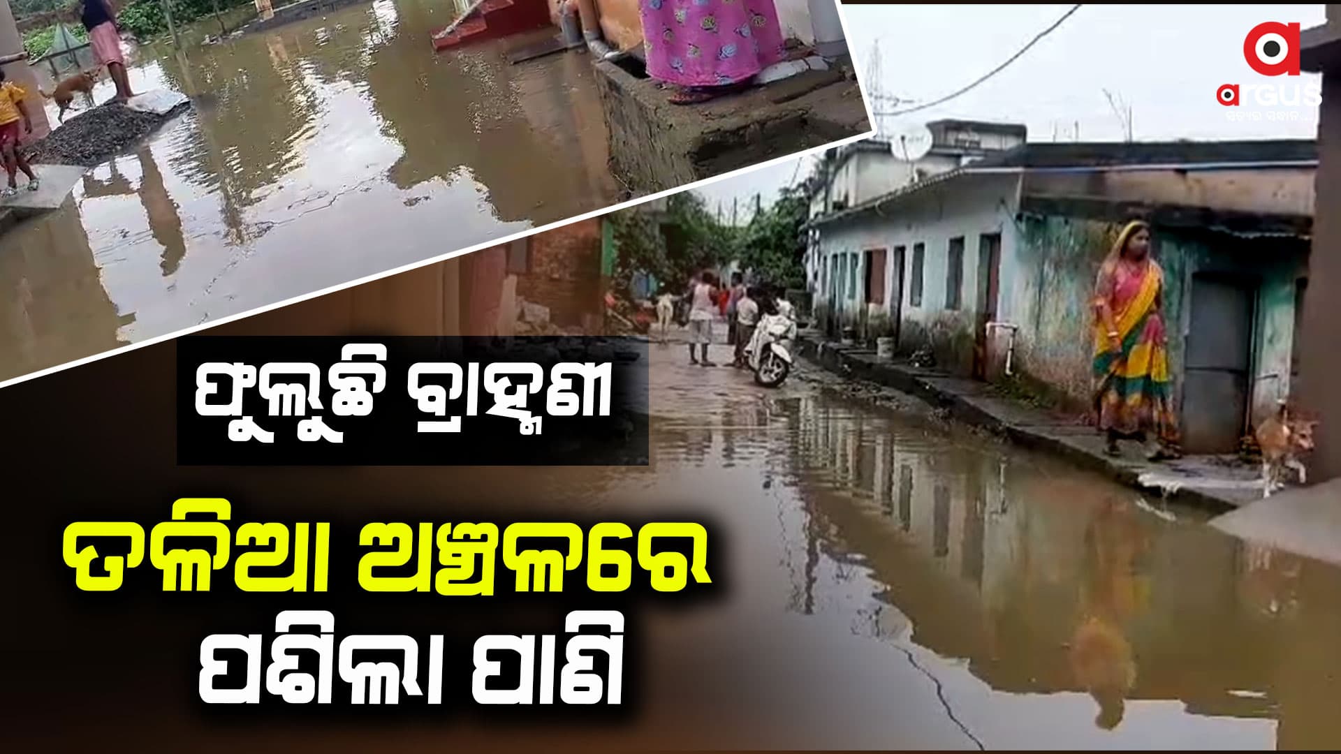 ପ୍ରବଳ ବର୍ଷା, ଫୁଲୁଛି ବ୍ରାହ୍ମଣୀ