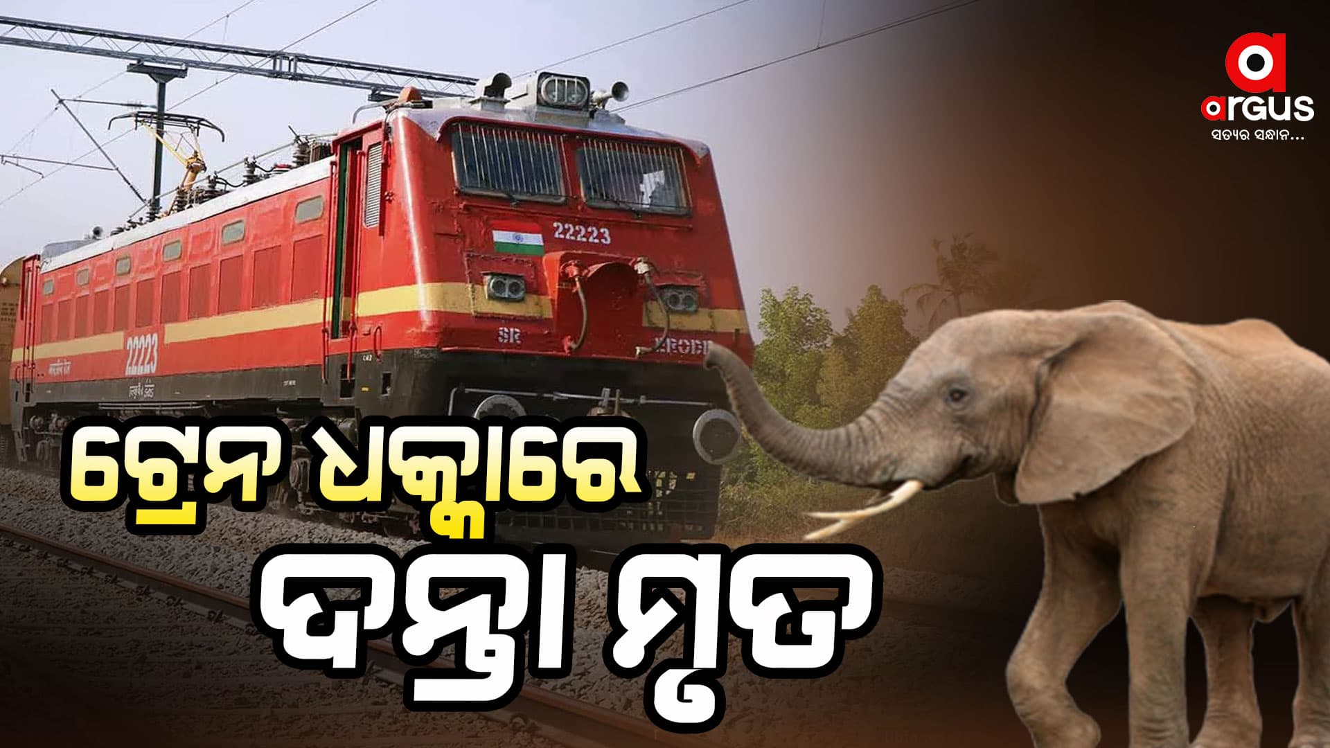 ଟ୍ରେନ ଧକ୍କାରେ ଦନ୍ତା ହାତୀର ମୃତ୍ୟୁ