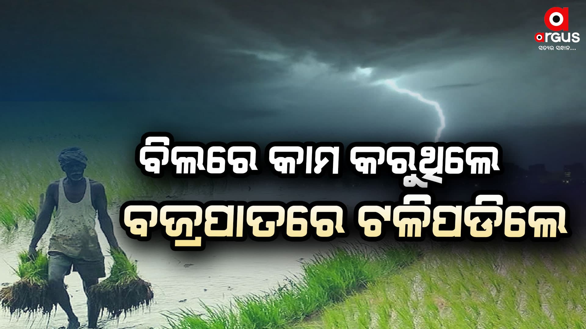 ବିଲରେ କାମ କରୁଥିବାବେଳେ ବଜ୍ରପାତରେ ଟଳିପଡିଲେ ଶ୍ରମିକ