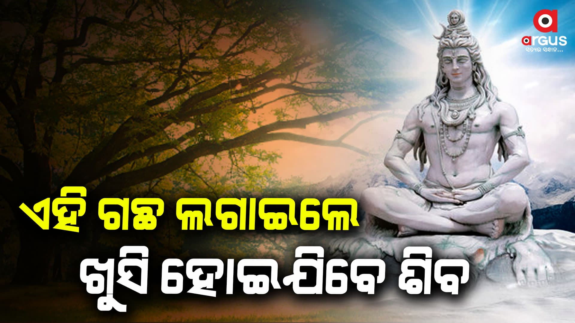 ଶ୍ରାବଣରେ ଲଗାନ୍ତୁ ଏହି ୪ ବୃକ୍ଷ: ମହାଦେବଙ୍କର ମିଳିବ ସାନ୍ନିଧ୍ୟ