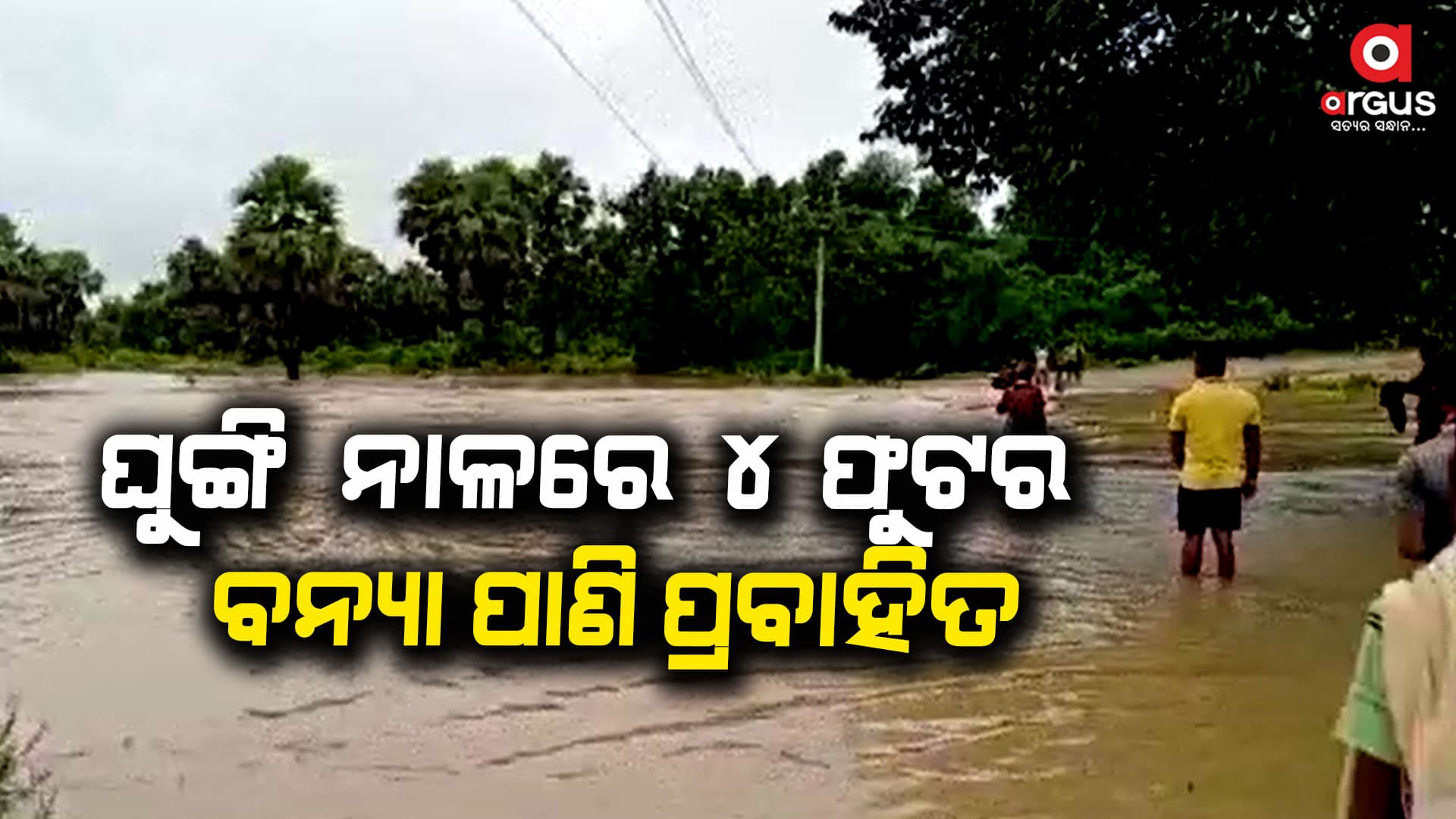 ଲଗାଣ ବର୍ଷାରେ ଚାଷ ଜମି ଜଳମଗ୍ନ