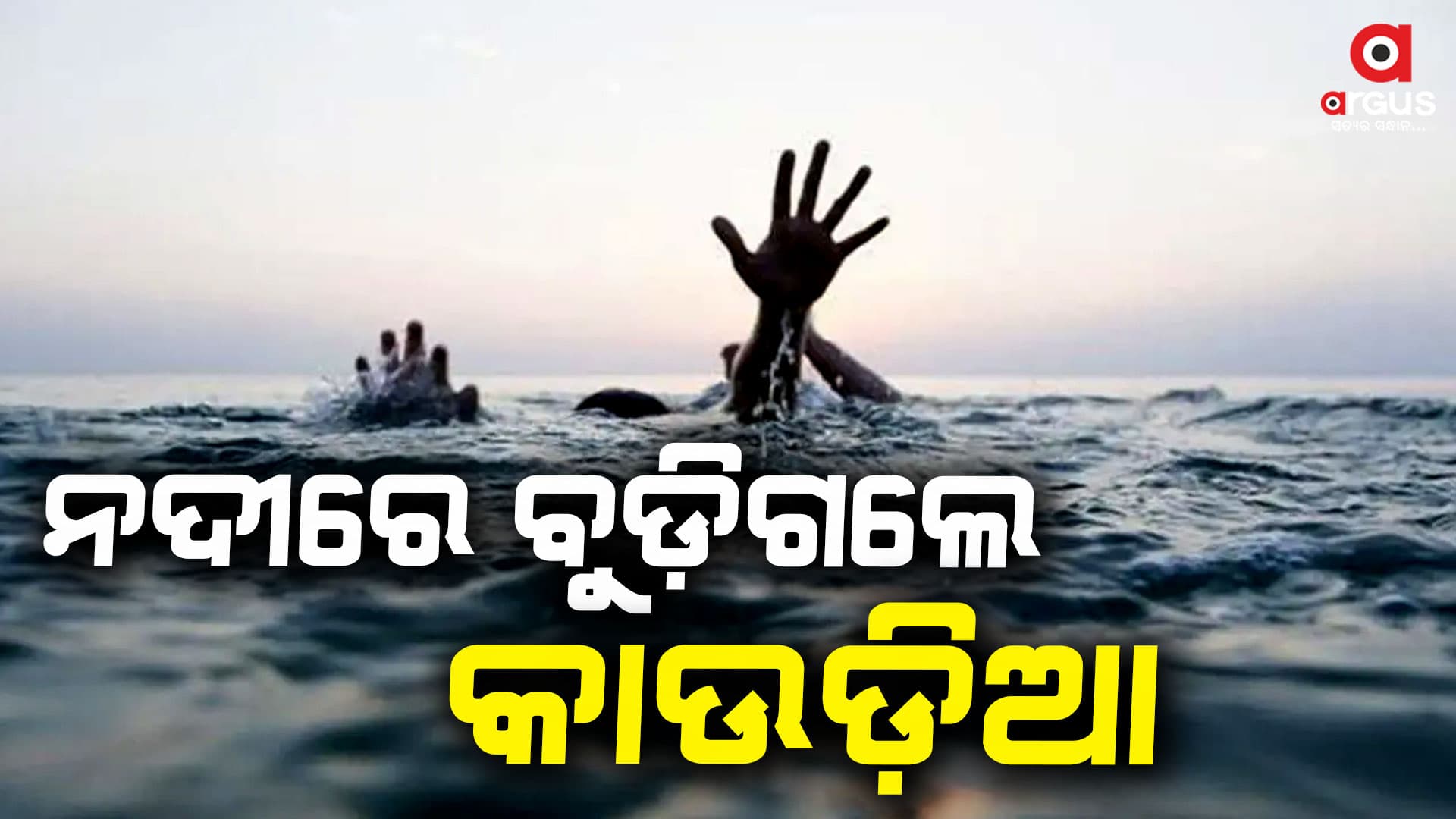 ନଦୀରେ ବୁଡି କାଉଡିଆଙ୍କ ମୃତ୍ୟୁ