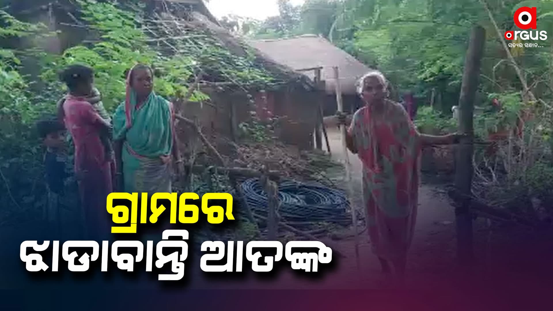 ଗ୍ରାମରେ ଝାଡାବାନ୍ତି ଆତଙ୍କ, ସପ୍ତାହ ଭିତରେ ଗଲାଣି ୩ ଜୀବନ