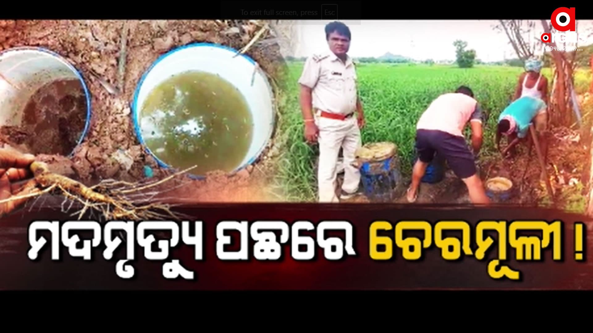 ମଦରେ ସମୁଦି ମୂଳ ମିଶାଇ କରାଯାଉଥିଲା ବିକ୍ରି ?