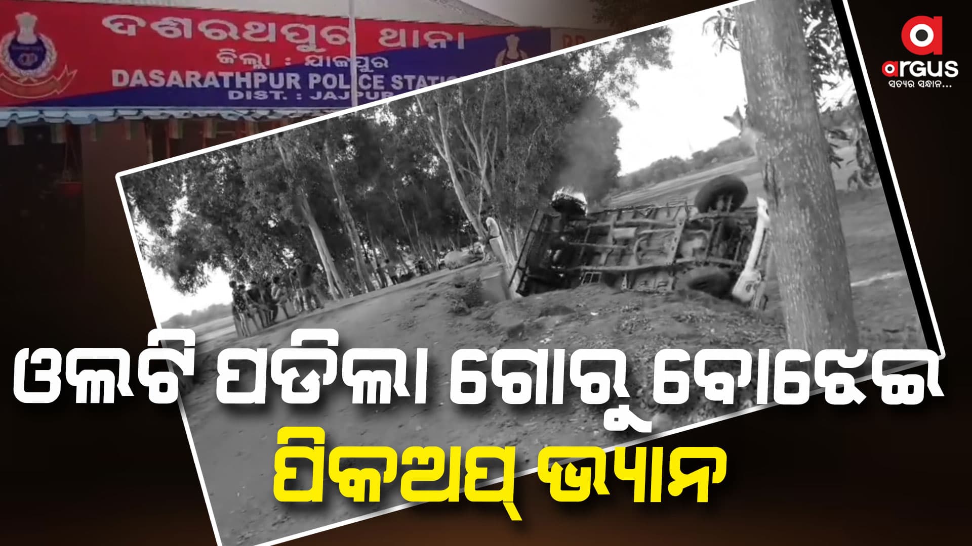 ରାସ୍ତା କଡ଼କୁ ଓଲଟି ପଡିଲା ପିକ ଅପ୍ ଭ୍ୟାନ, ୨ଟି ଗୋରୁ ମୃତ