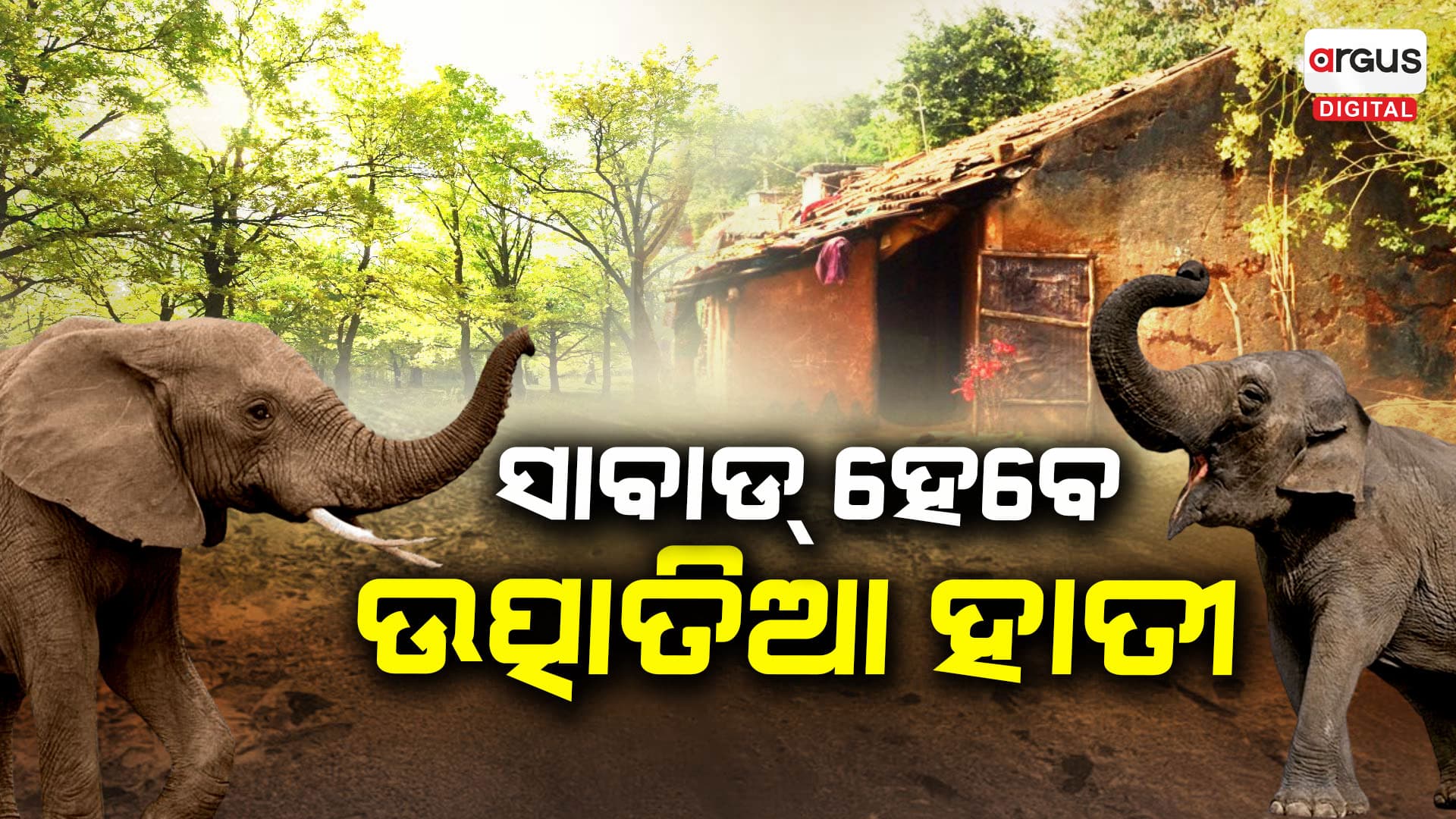 ଏଣିକି ସାବାଡ୍ ହେବେ ଉତ୍ପାତିଆ ହାତୀ