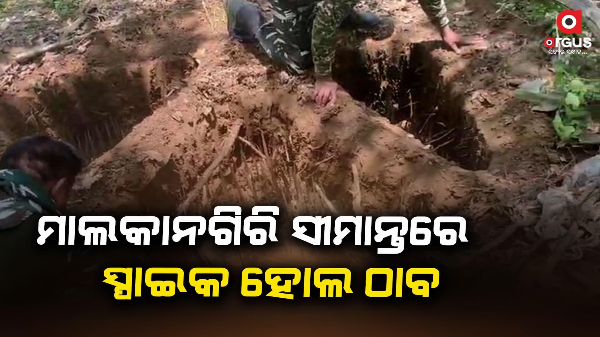 ସୀମାନ୍ତ ଜଙ୍ଗଲରେ ସ୍ପାଇକ୍ ହୋଲ୍ ଠାବ କଲେ ଯବାନ