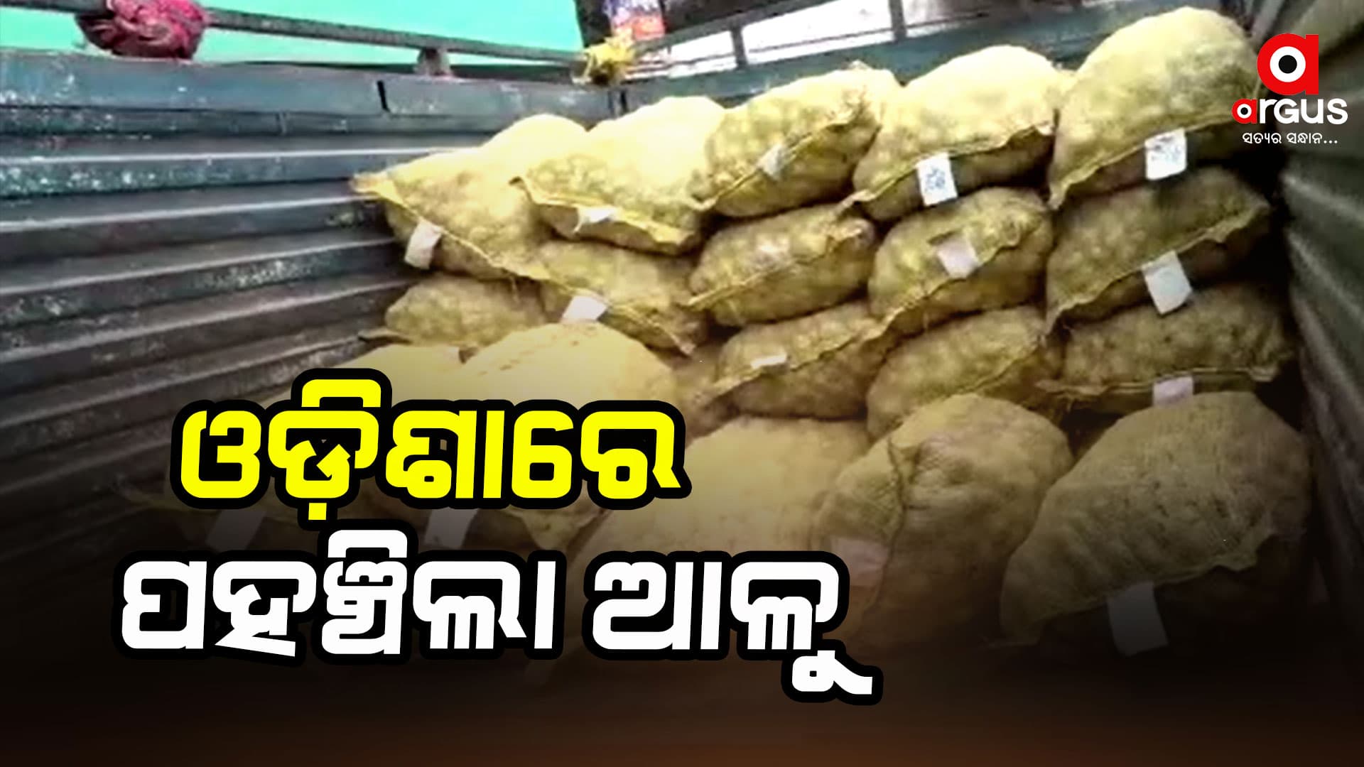 ଉତ୍ତରପ୍ରଦେଶରୁ ଆସି ଓଡ଼ିଶାରେ ପହଞ୍ଚିଲା ଆଳୁ
