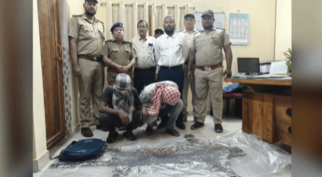 Tiger Skin Sale Bid Foiled, Two Arrested In Cuttack