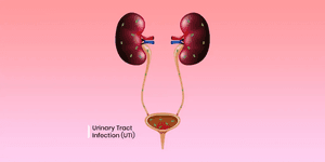 'Indian Women Less Aware About Urinary Tract Infection'